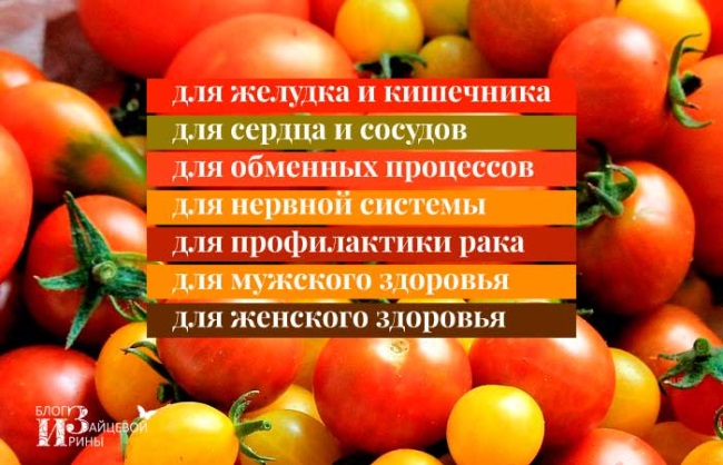 Маленькие помидоры польза